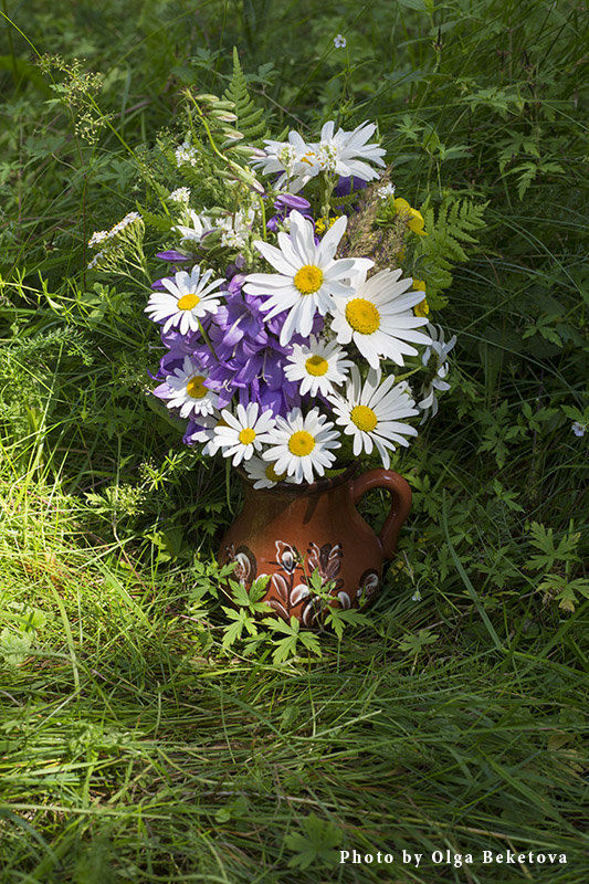 Букет с ромашками на траве - Ольга Бекетова