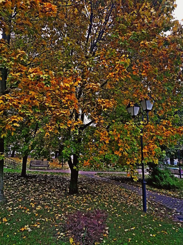 Осенний фонарик... - Vladimir Semenchukov