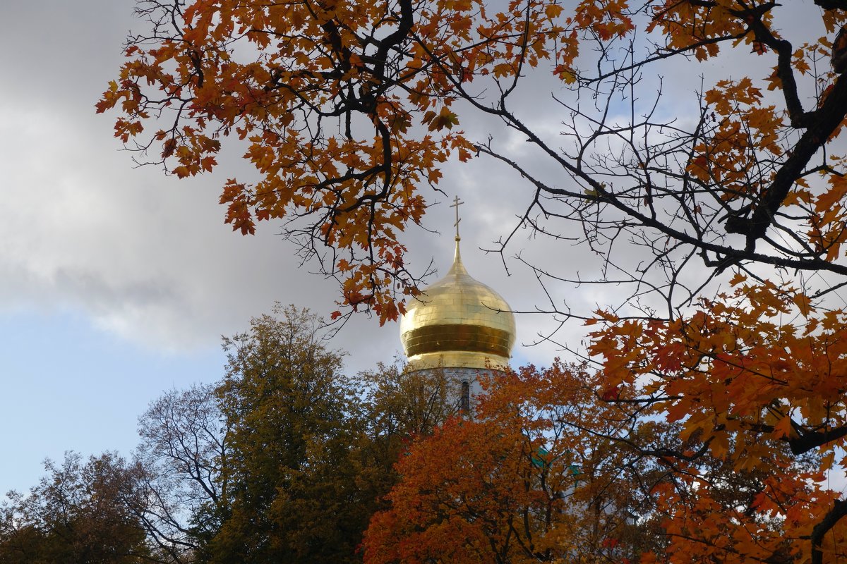 купол Фёдоровского собора в Царском Селе - Елена 