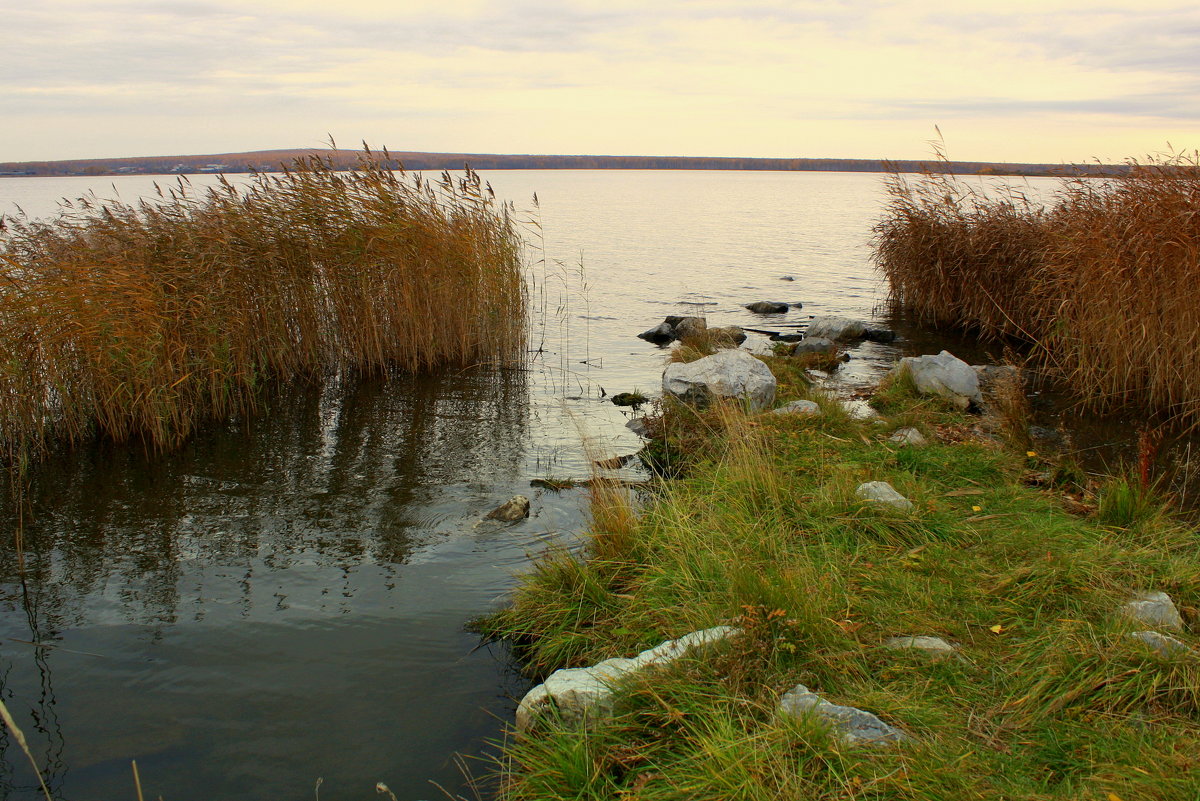 Осенним днём у озера... - Нэля Лысенко