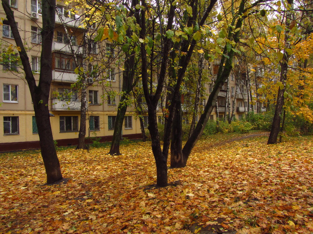 В Москве зрелая осень - Андрей Лукьянов