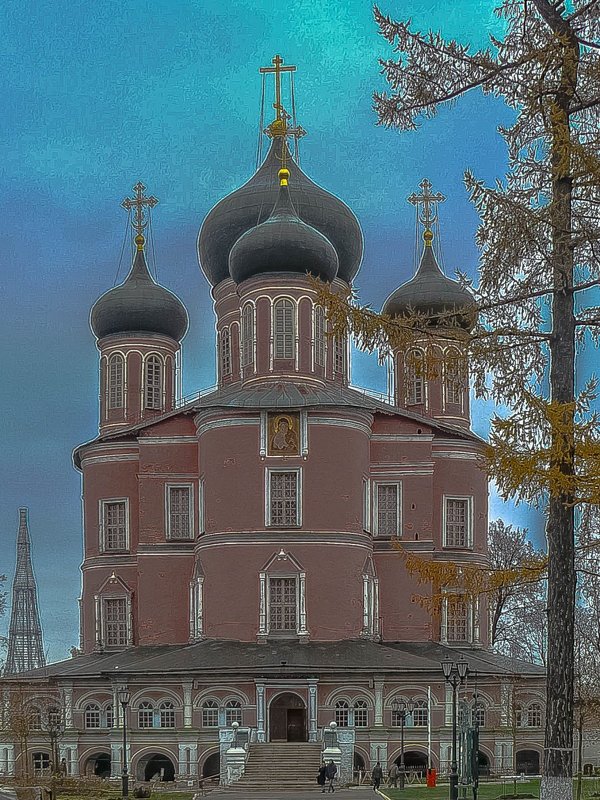 Москва. Донской монастырь. - Ирина 