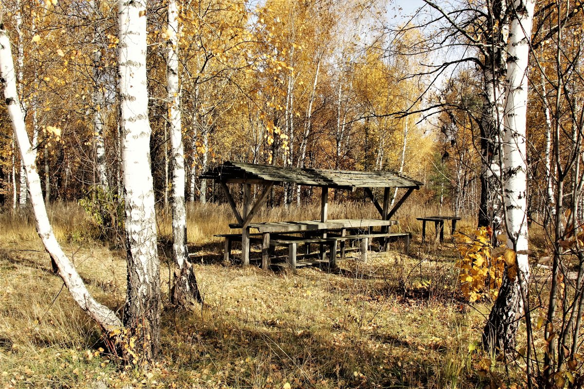 осень - Владимир Холодницкий