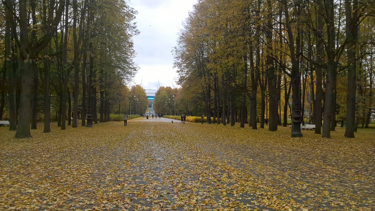 В парке - Митя Дмитрий Митя