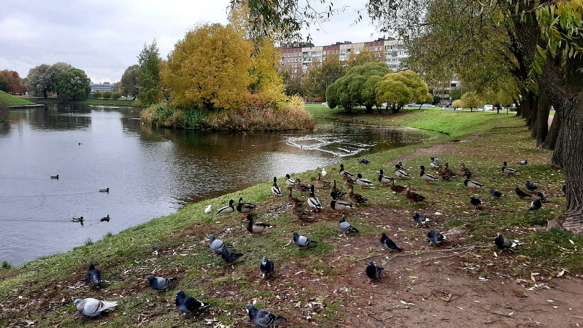 В парке Малиновка - Елена Павлова (Смолова)