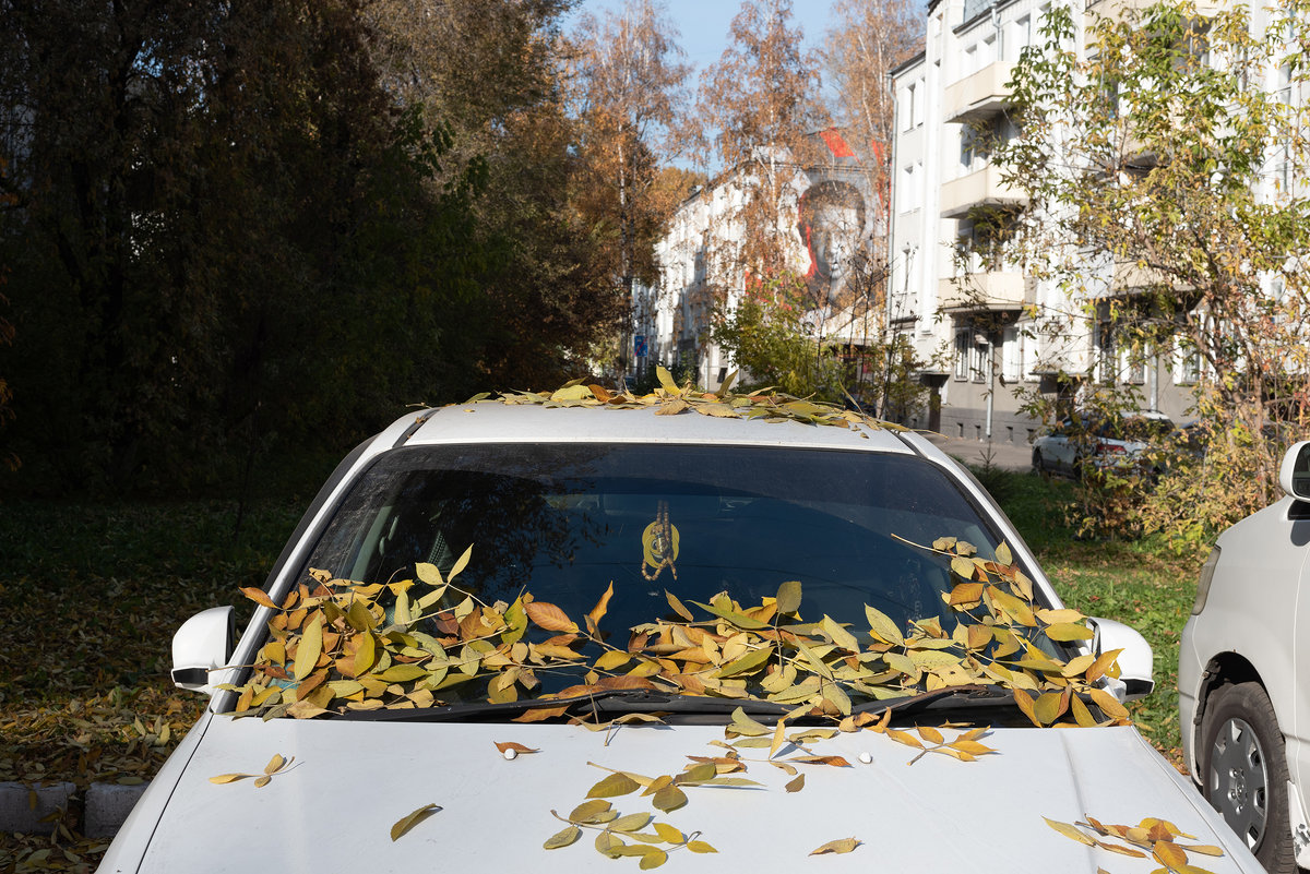 Осень под надзором Машкова - Валерий Михмель 