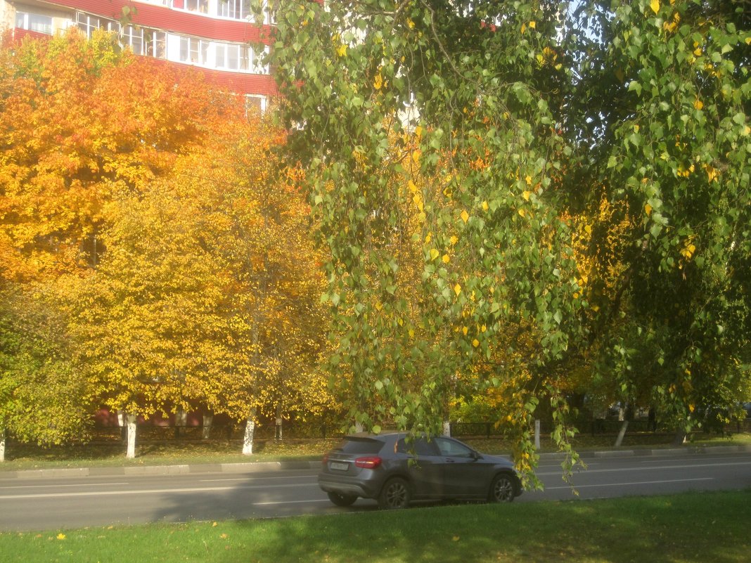 Осень в моем городе - Елена Семигина