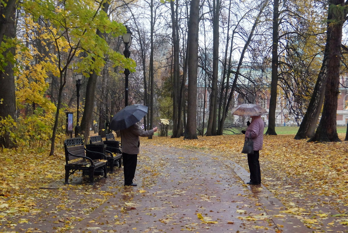 Тебе в подарок лист осенний... - Люба 