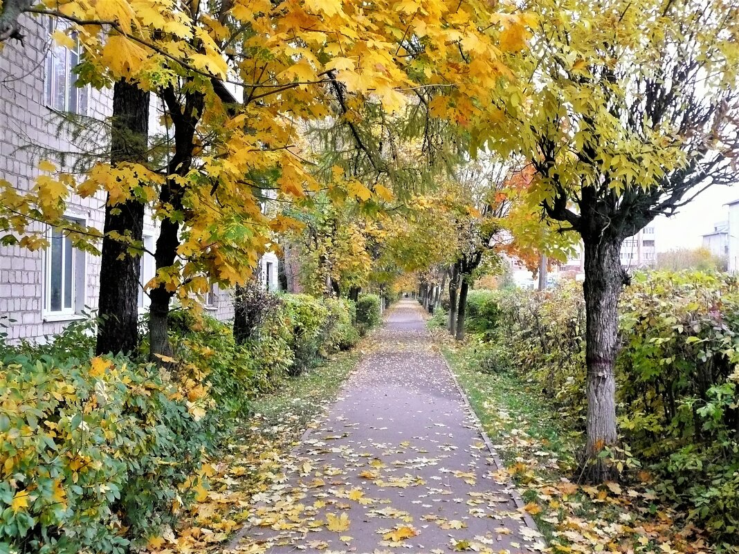 Климовск - Владимир Холодницкий