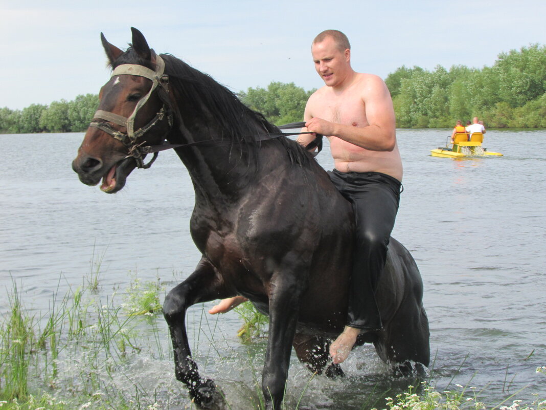 Купание коня - Владимир 