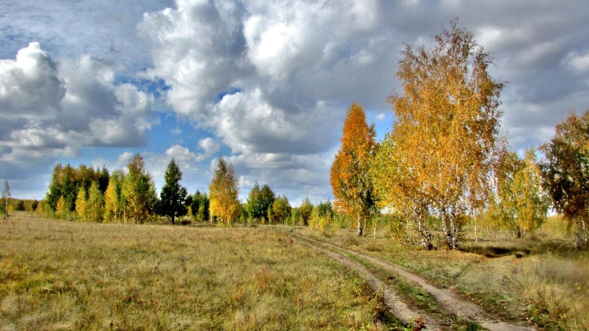 Осенний пейзаж - Владимир 