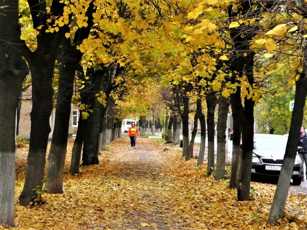 осень - Владимир Холодницкий