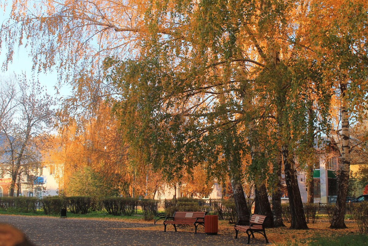 осень - Горкун Ольга Николаевна 