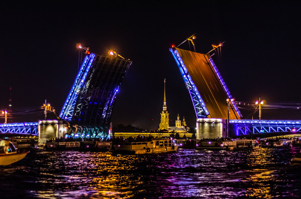 Дворцовый мост - Андрей Щетинин