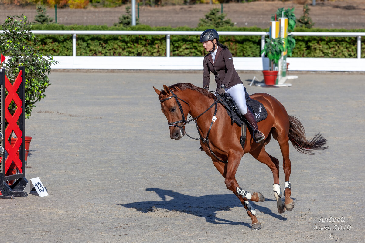 Кубок КСК Golden Horse 2019-10-13 - Андрей Lyz