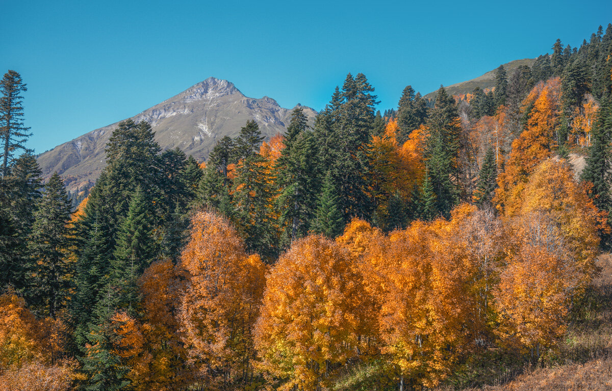 Осень в горах Кавказа - Ольга Соколова