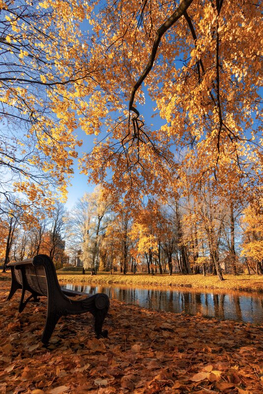 Осенний парк - Илья 