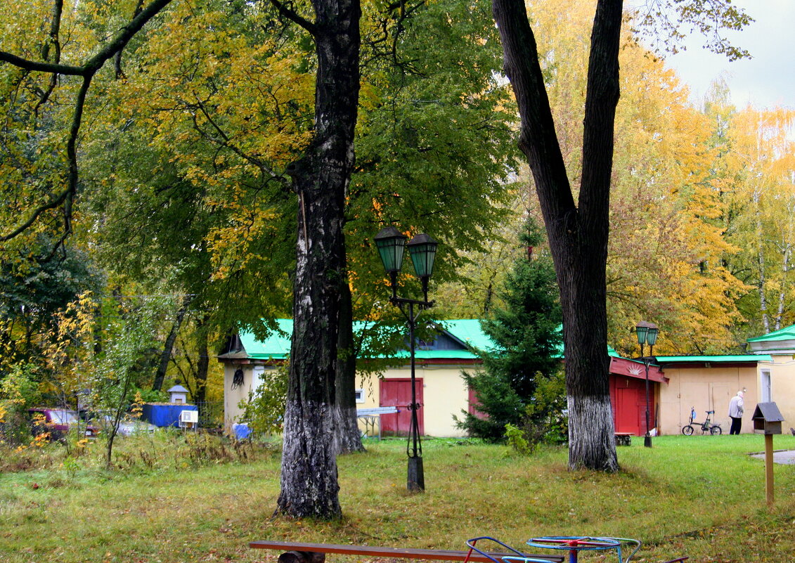 Яркая осень - Любовь 