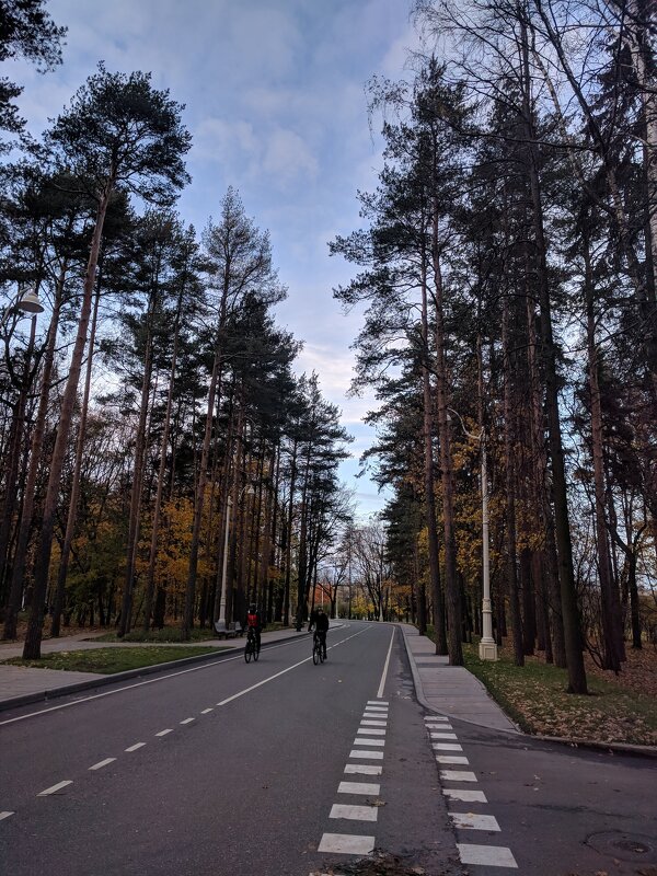 В путь всегда зовёт дорога.. - Марина Птичка