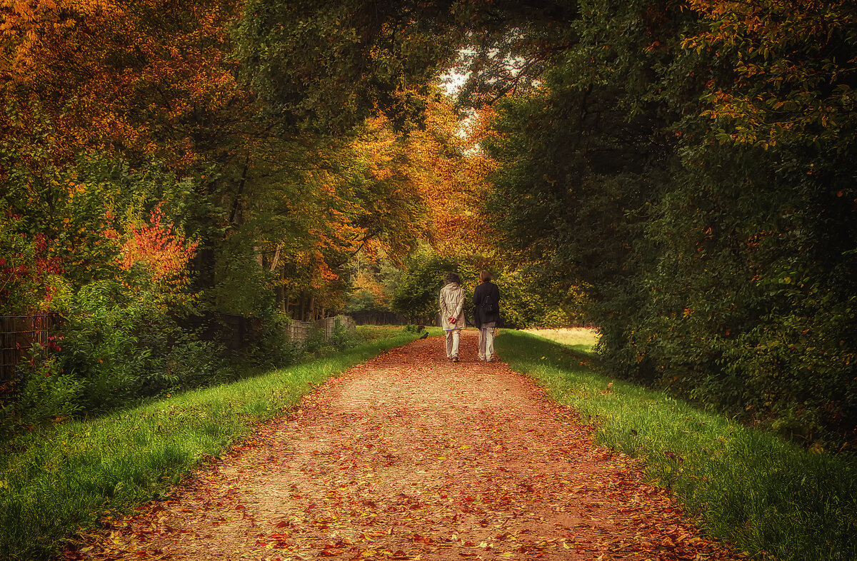 Прогулка в Осень - Alexander Andronik