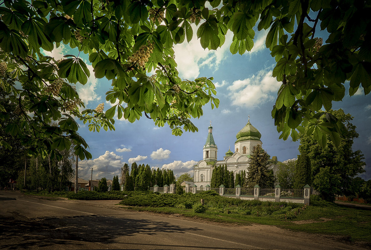 Вознесенская церковь - Александр Бойко