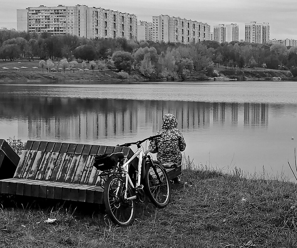 Осенний штрих-код. - Борис Бутцев