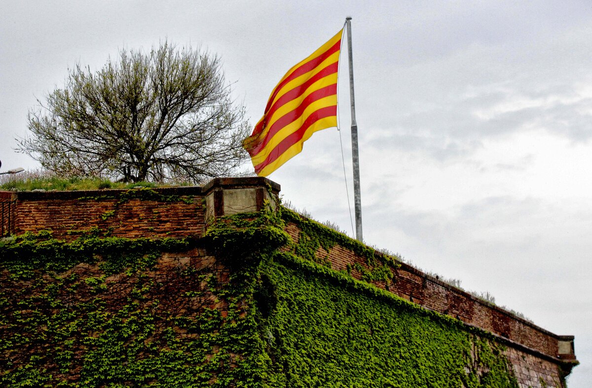 Флаг Каталонии - Nina Karyuk