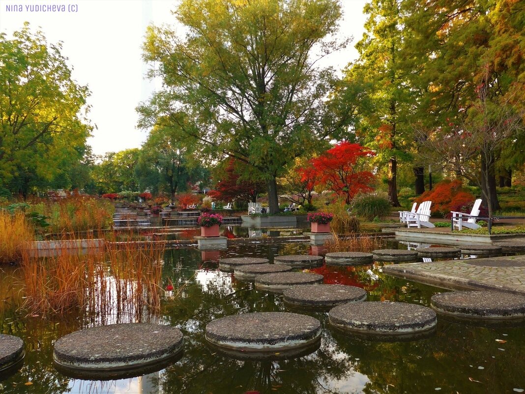 Осень в парке цветов - Nina Yudicheva