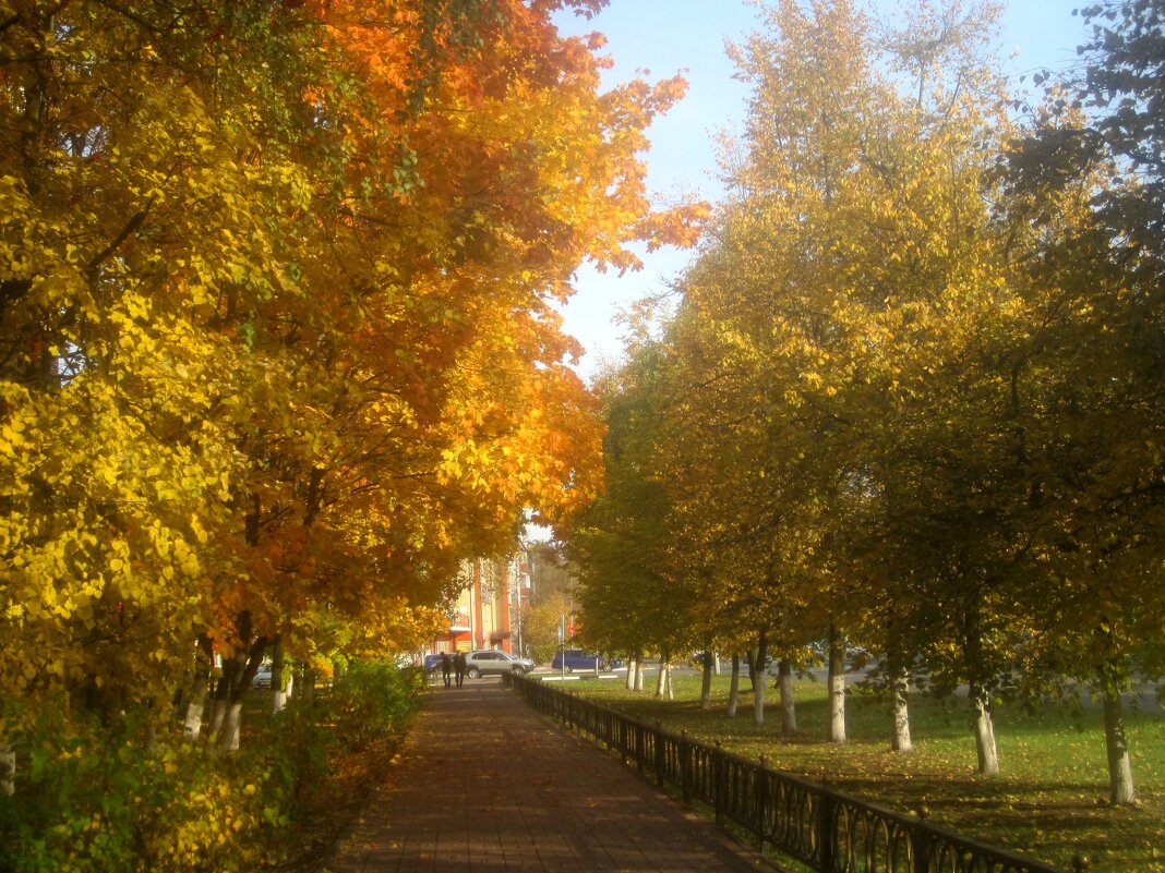 Осенними аллеями в золотую осень - Елена Семигина
