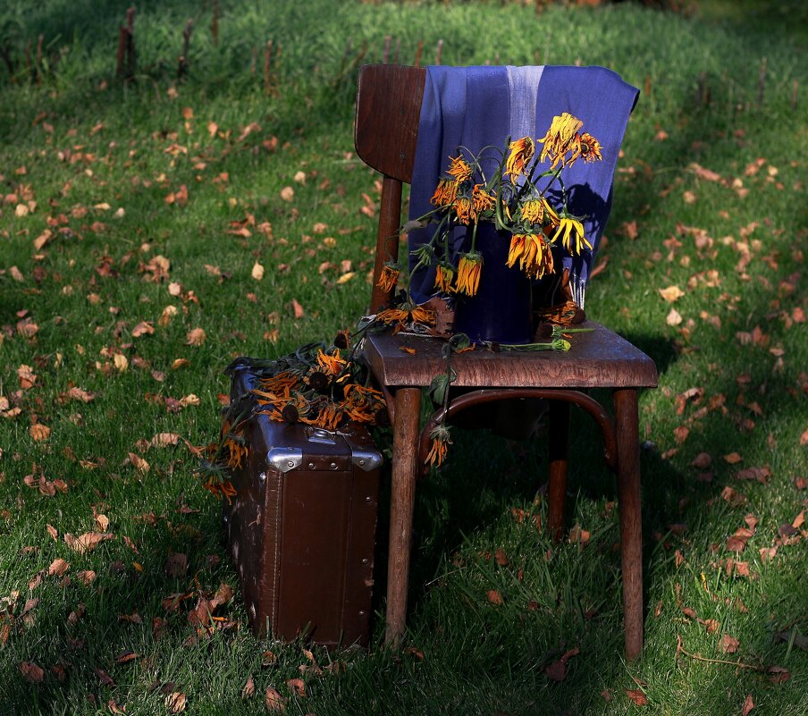 Осень собирает чемоданы (1) - Наталья Казанцева