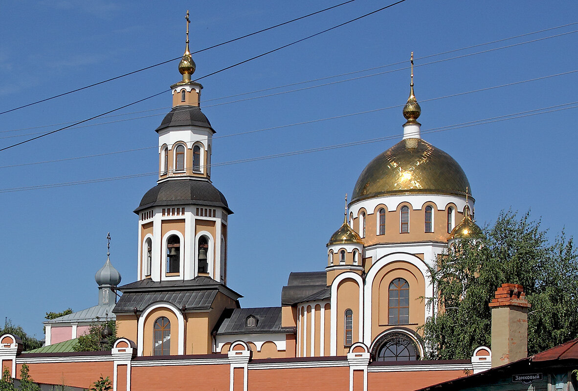 Купола  Алексиевского монастыря. Саратов - MILAV V