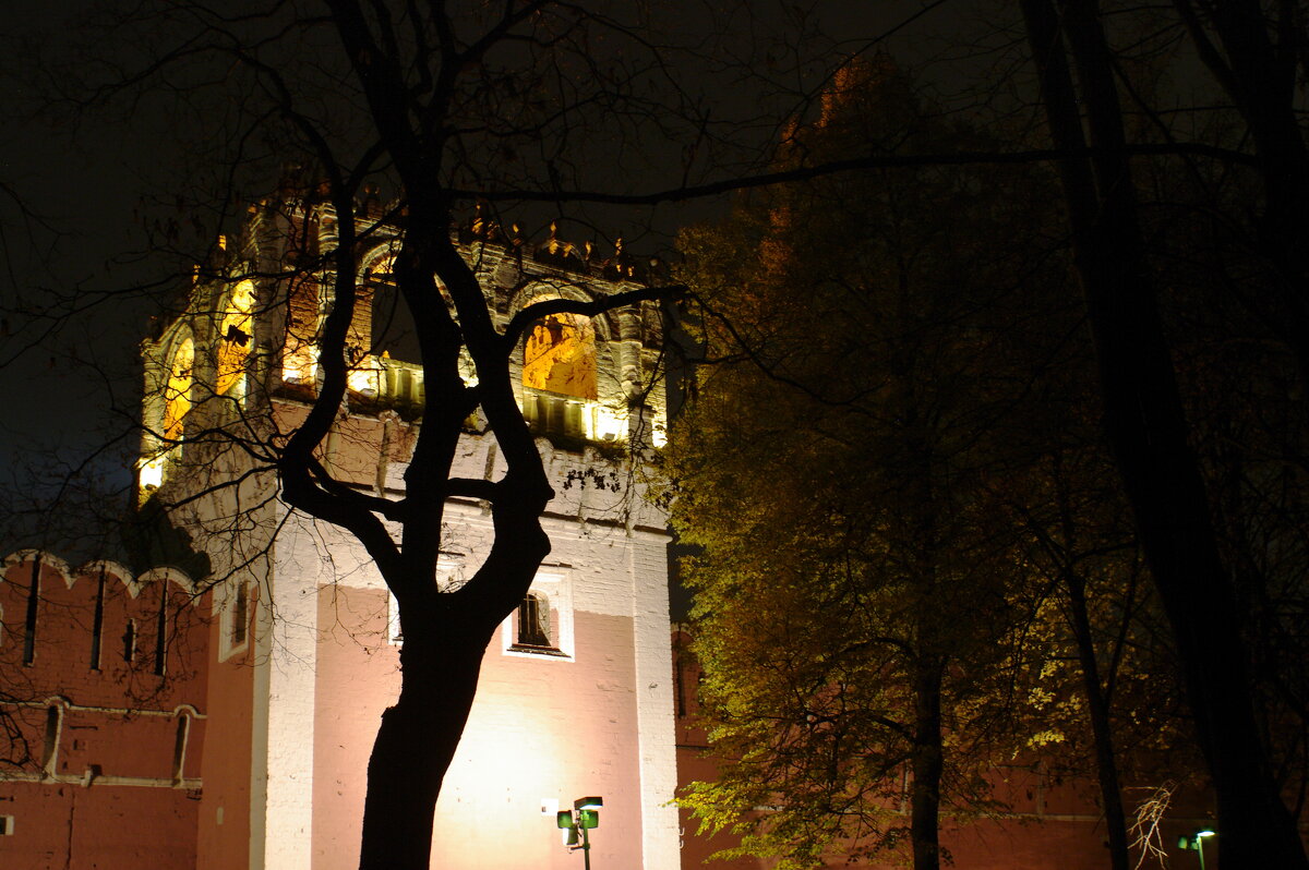 Ночные стены  Донского монастыря - Артемий 