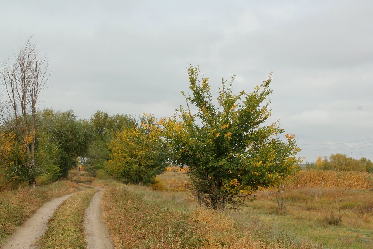 Осень - kentiya 