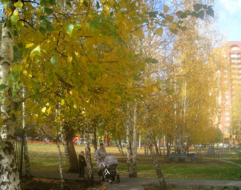 Осень - Елена Семигина