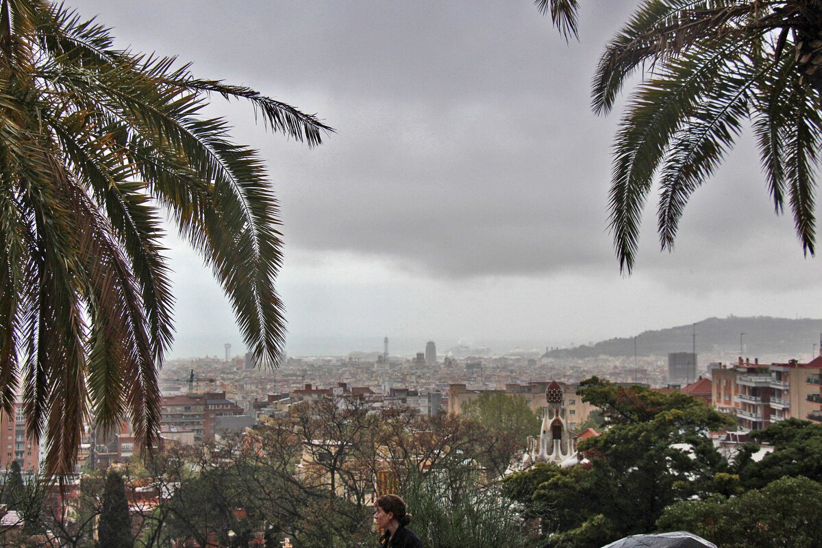 Барселона сквозь пелену дождя - Nina Karyuk
