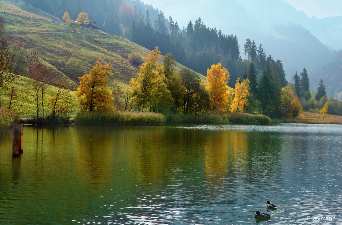 осень на Черном озере - Elena Wymann