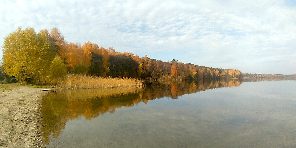 Вид на озеро ЕЛОВОЕ - Дмитрий Петренко