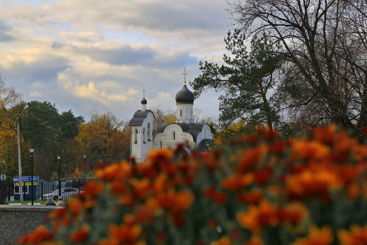 Переделкино - Ninell Nikitina