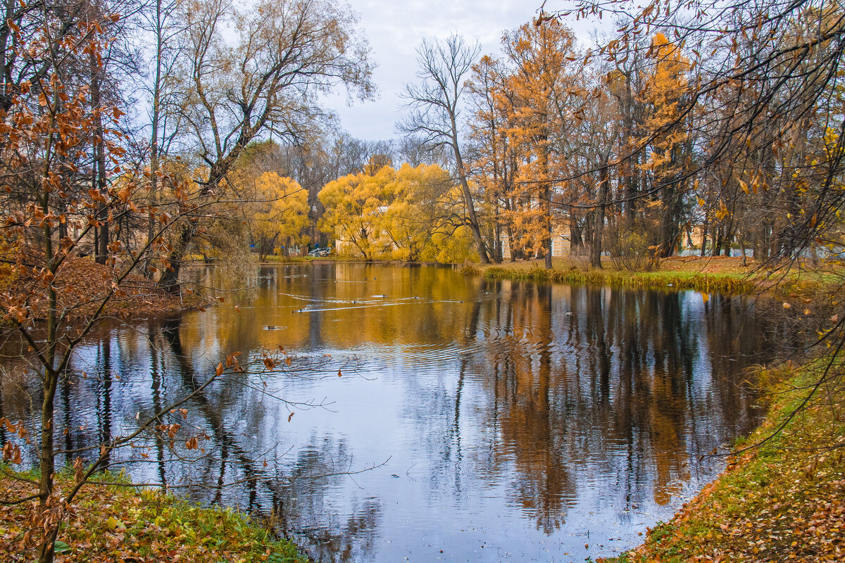 Пушкин, Александровский парк - navalon M