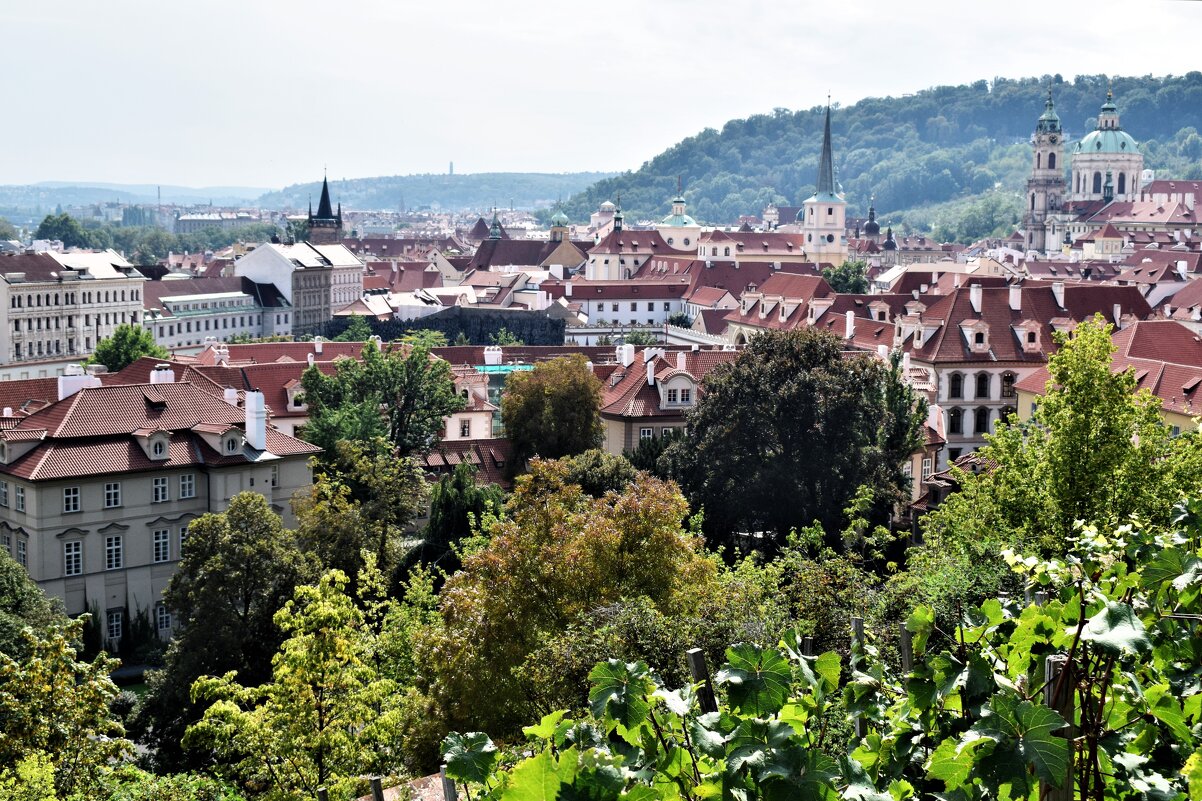 Прага со смотровой площадки. - Марина 