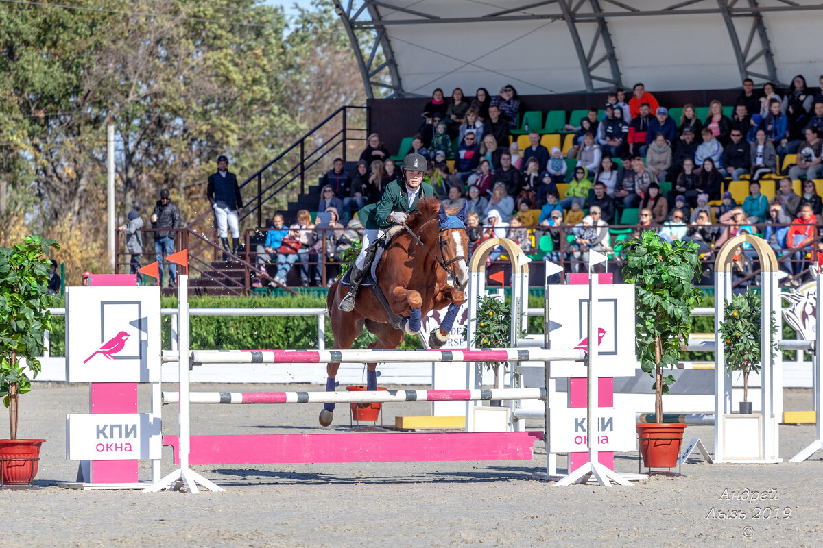 Кубок КСК Golden Horse 2019-10-13 - Андрей Lyz