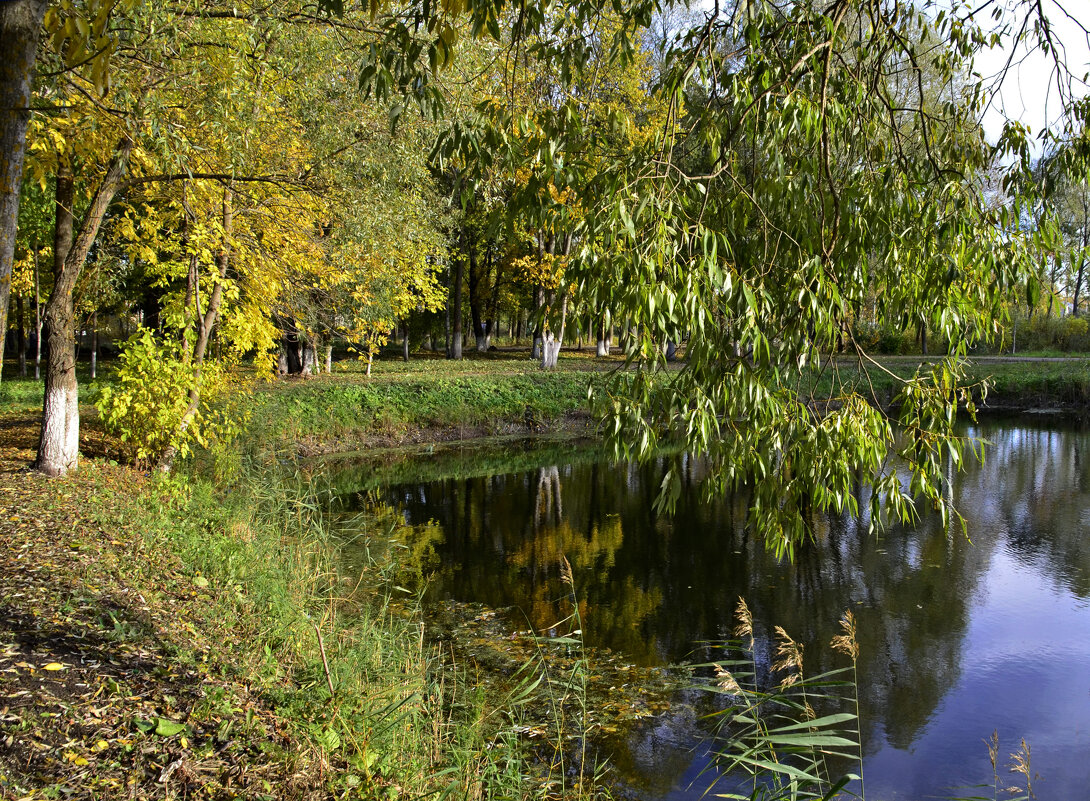Осенний пруд - Нина Синица