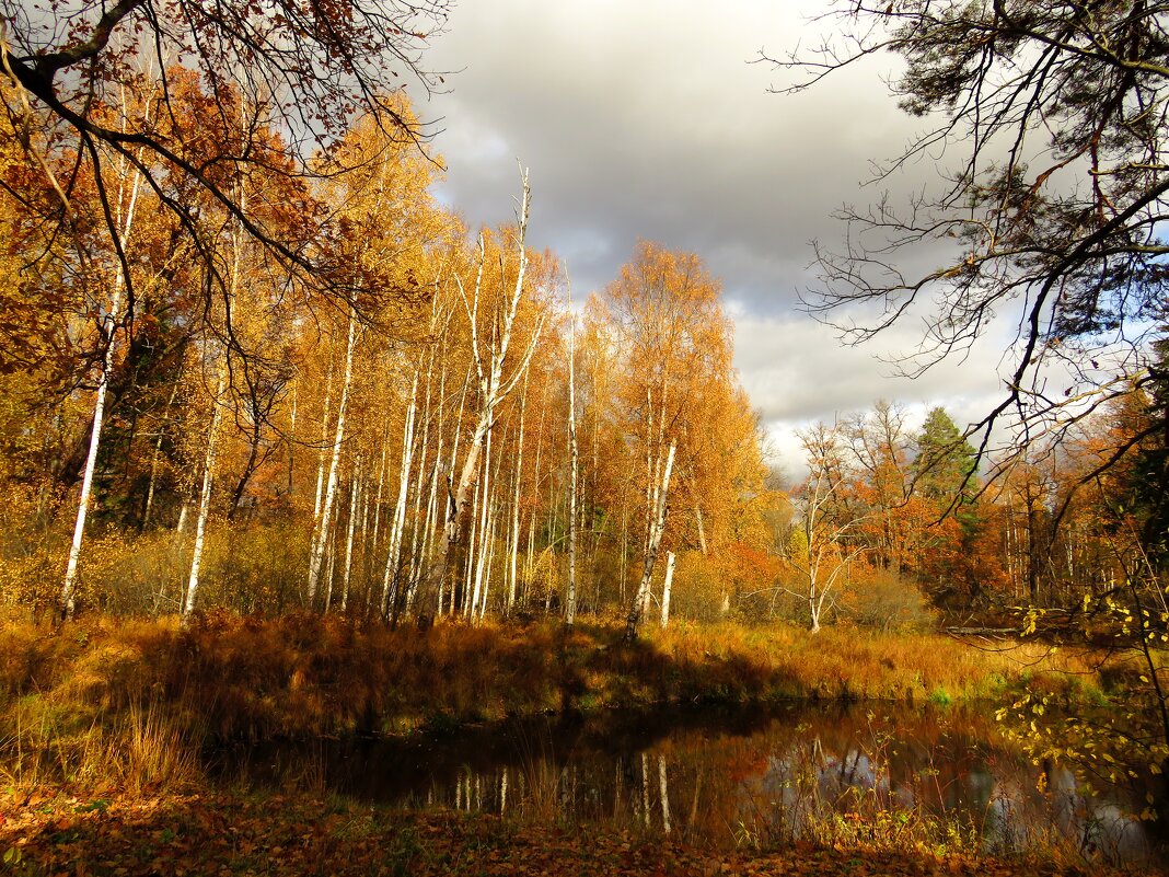 Осени прекрасная пора - Андрей Снегерёв