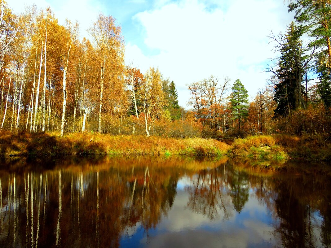 Спокойствие лесной реки - Андрей Снегерёв