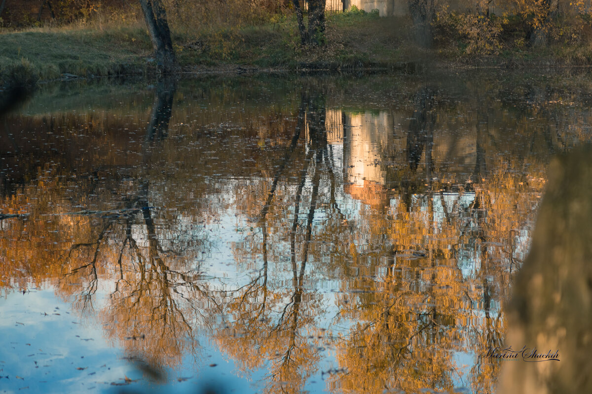 Осени отражение - Марина Щуцких