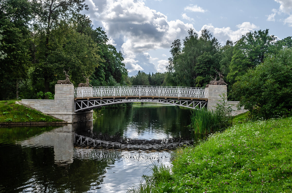 Олений мост - Андрей Щетинин