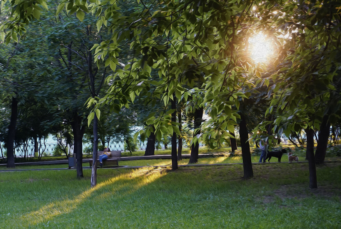 Вечером в парке - Алексей Виноградов