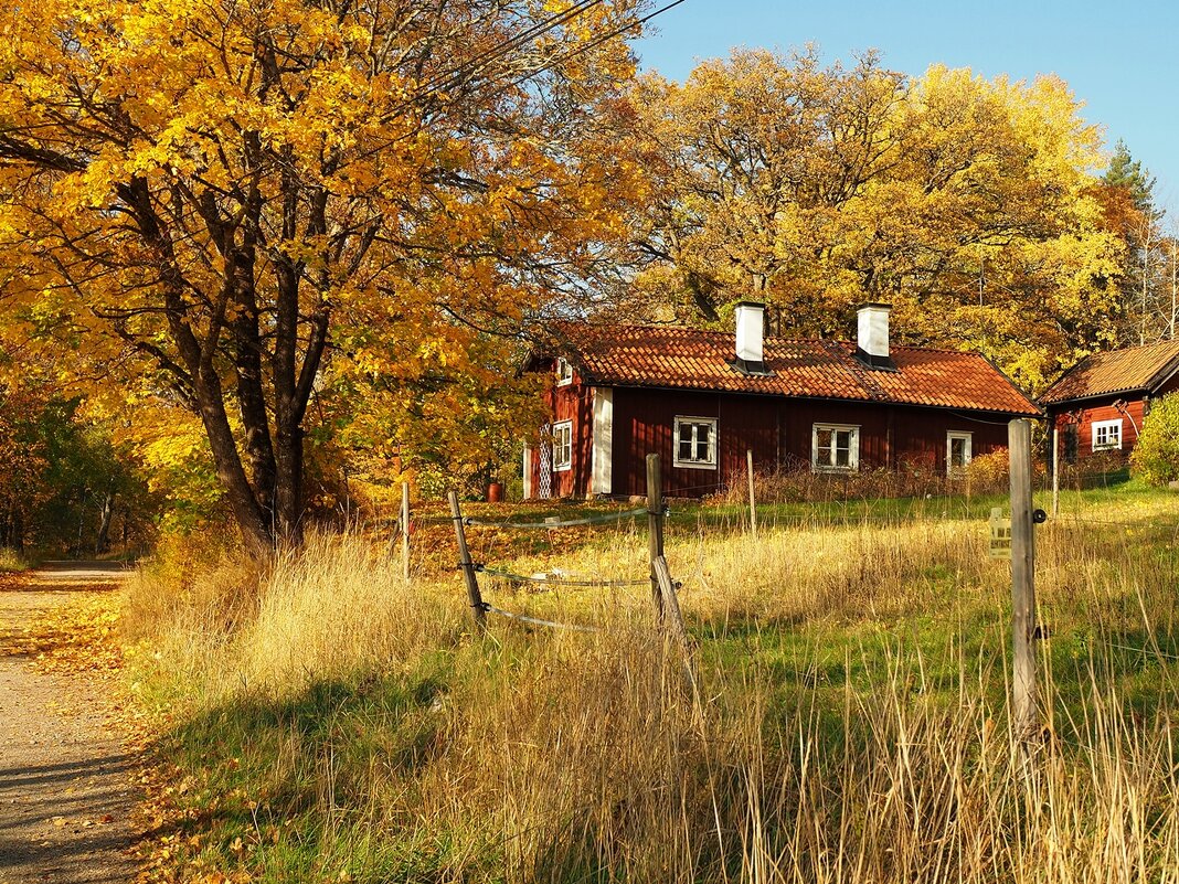Национальный парк Tyresta Швеция - wea *
