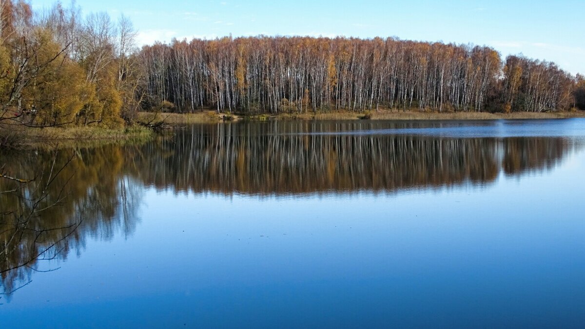 Отражение осени в озере - Милешкин Владимир Алексеевич 