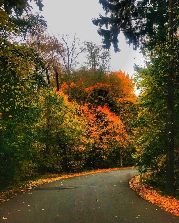 Дорога в осень - Ирэн 